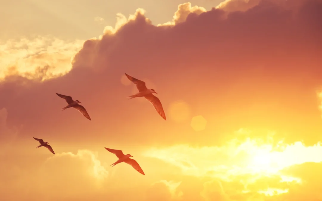 Œuvrer collectivement et cultiver l&rsquo;esprit d&rsquo;équipe: tout un art