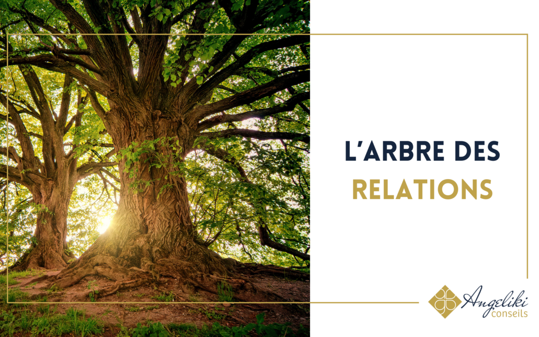 Enchanter et harmoniser les relations en organisation