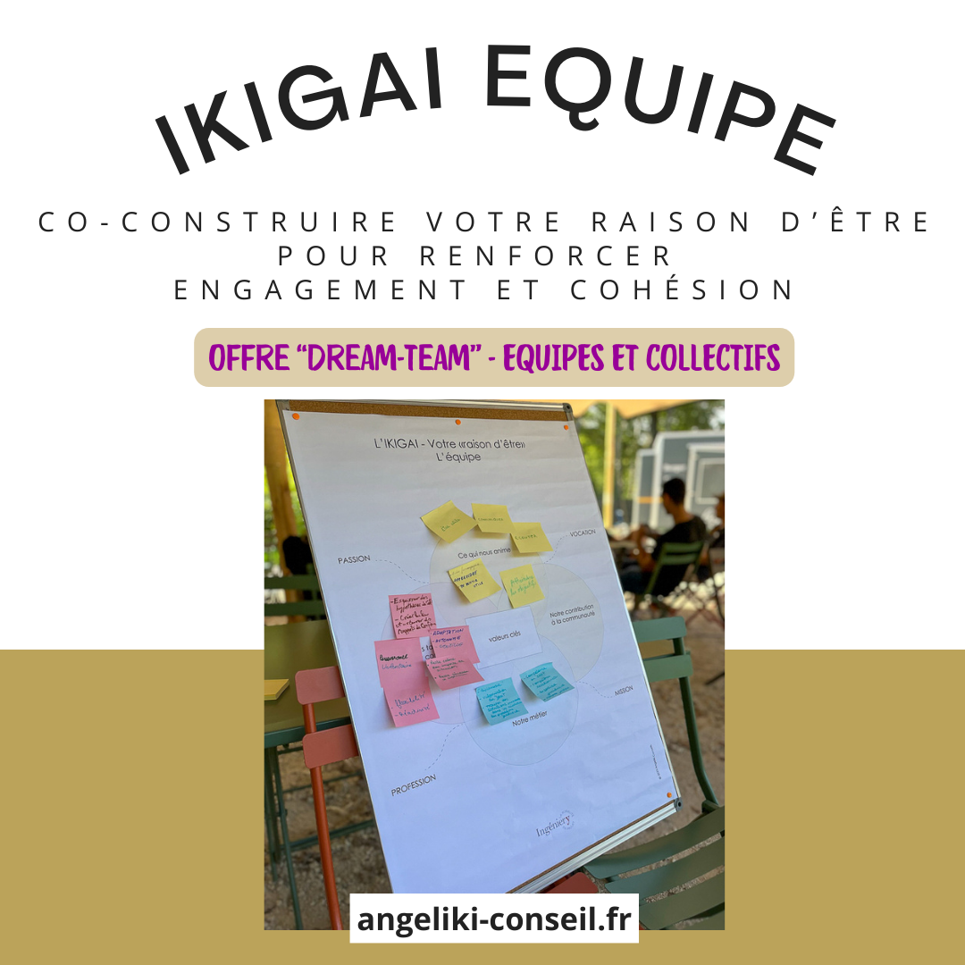 COACHING IKIGAI D'EQUIPE