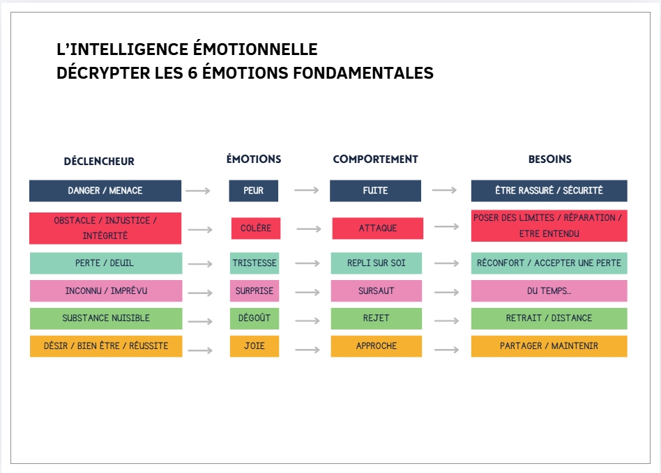 Carte des émotions principales reliées aux besoins