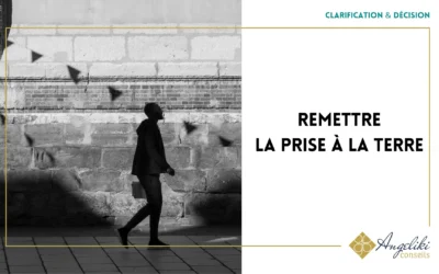 Remettre la prise à la terre